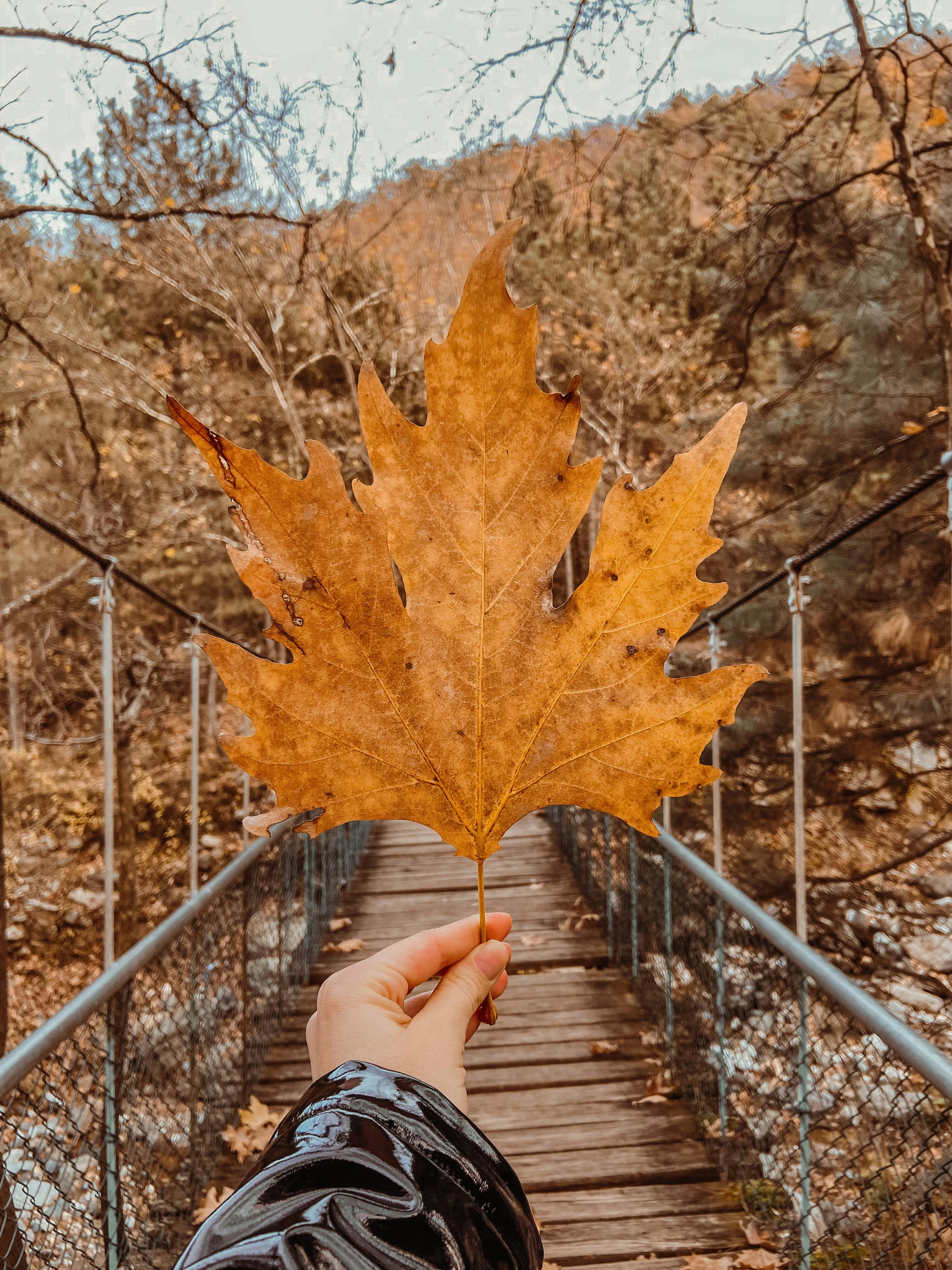 A delivery person handing a package to a happy customer at their door